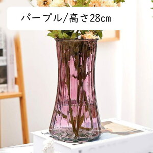 KX ԕr Ԋ 傫 t[x[X т KXԕr   O[/23cm L Ԃт ͔|   kԕr _ KXx[X ɎqԊ NA Vv u