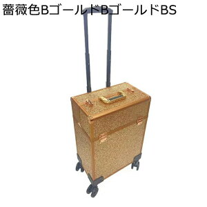 vp [{bNX CN e [P[X LX^[t L[P[X nht A~ c[ CN[ ^ъȒP ϕi[I[KiCU[ gx s t