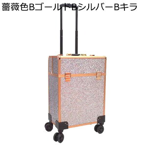 vp [{bNX CN e [P[X LX^[t L[P[X nht A~ c[ CN[ ^ъȒP ϕi[I[KiCU[ gx s t
