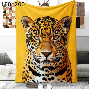 ѕz  vg VO tluPbg n[tTCY Ƃ  ӂƂѕz RRѕz |zc Ђ| | \tg ӂӂѕz lGKp ѕz y