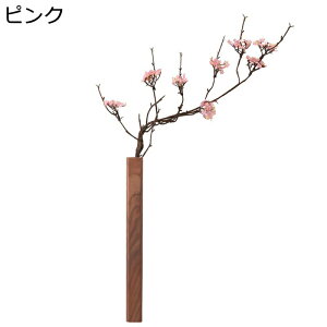 Ǐ ӓ   ǂɂ ؐ ؐԕr I lHϗtA CeA JȂ ԉԑ ǂȂ ȒPt  rO/ʏ/Lb`/gC/