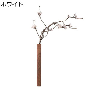 Ǐ ӓ   ǂɂ ؐ ؐԕr I lHϗtA CeA JȂ ԉԑ ǂȂ ȒPt  rO/ʏ/Lb`/gC/