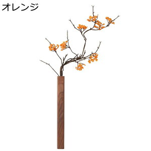 Ǐ ӓ   ǂɂ ؐ ؐԕr I lHϗtA CeA JȂ ԉԑ ǂȂ ȒPt  rO/ʏ/Lb`/gC/