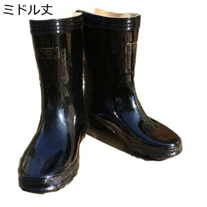 傫TCY Cu[c Y fB[X O C Ou[c Gi tbg Xb| TChSA Jp 䕗łΉ hΉ ] | ʋΒʊw Ԍ D t