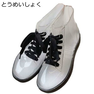 Cu[c fB[X V[gu[c [XAbv h CV[Y [Jbg PVC J ~J 䕗 ̓ h tbg JWA E₷ tďH~ o