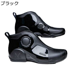 hV[Y CV[Y Y Xb| nCJbg h J ~J ~ V[gu[c tbg Cu[c _ y h 䕗 ̓ tHp ʋΒʊw Ɨp i