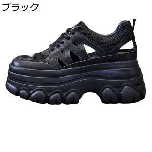 T_ {v fB[X ČC tC bV X|[cT_ U[ vbgtH[  ₷ K IV t@bV RtH[g ~ K