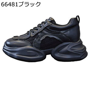 fB[X X|[cV[Y Ɩ T_  8cmgAbv Cq[ JWA T{ ʋC NbV _炩 r ɂȂ ₷ RtH[g q ʋ