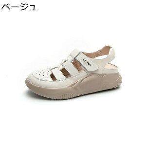 fB[XT_ {v ܐ悠 JWA }WbNe[v \[4cm ʋC tėp 芴  t@bV q ׌ y LC ׌ s ֗ Oo ʋ