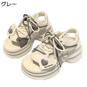 fB[X T_ C ČC 6cmgUP 킢 n[g  vbgtH[ Ђ  u₩ NbV  ׌ JWA gh u₩ ʋΒʊw ItBX