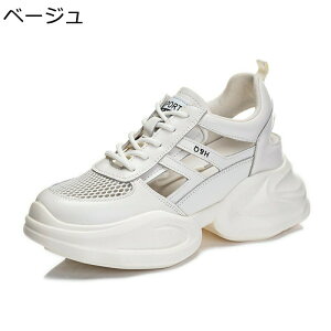 X|[cT_ C bV fB[X t   Cq[ gAbv ^C  EH[LO jO RC r q u₩ h RtH[g