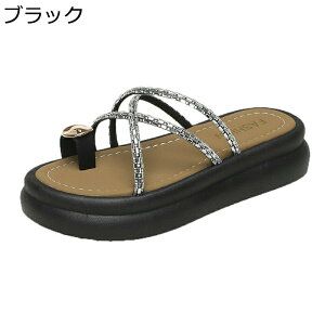 r[`T_ gOT_ r[T ~[ fB[X CXg[ T{ ėp C OoXbp vbgtH[ ֗ q _炩 ₷ r[` 