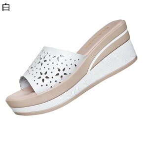 ~[ ~[T_   Xbp T{ fB[X 7cm nCq[ O EFbWq[ ׌ IV   _ ZNV[  i p ČC