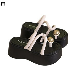 ~[T_  ewgO ҂ Xbp fB[X T{ EFbW\[ 8cm C nCq[ gAbv OoXbp GKg 킢 ig p   