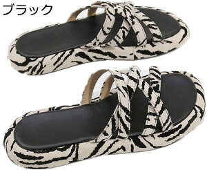 Xbp T{ fB[X tbgT_ NXXgbv [u bXgbv  r[T I[vgE EhgD tbgq[ t@V W[p  _炩 ɂ