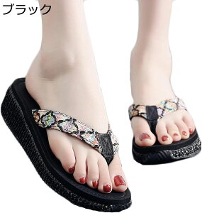 Xbp fB[X T{T_ l r IV gOT_ r[` K EFbW r[T _炩 v[ C C ɂ W[p 3cmq[ p[eB[ @ f