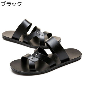 Xbp Y AEghA r[`T_  JWA ʋC IV   y  Ȃ ₷  O 傫TCY  U x_