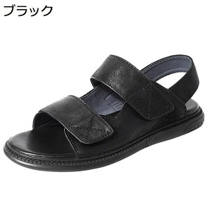 U[T_ Y OfBG[^[T_ {v r[`T_ xN RtH[g ₷ Ȃ  AEghA ϋv ʋC hCrOV[Y  JWA