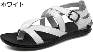 T_  Y OfBG[^[T_ h RtH[g r[`T_ ϋv ʋC AEghA pT_ y JWA gOT_ ėp 傫TCY 