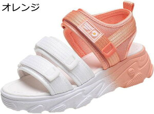 fB[X T_ X|[cT_ Xj[J[ Of[V ėp  }WbNe[v t@bV _炩 EFbW JWA y ʋC ɂ ؍ r[`T_