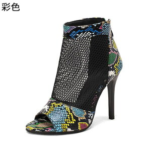 傫TCY T_ fB[X I[vgD |CebhgD V[gu[c u[cT_ bV 10cmq[ obNWbv nCq[ T}[u[c t@bV LbgEH