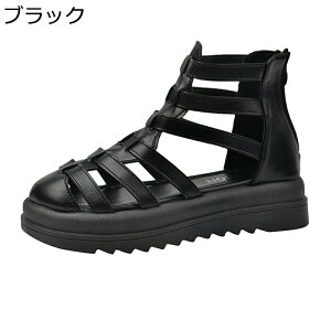 OfBG[^[ T_ fB[X  N[YgD 4cmq[ PUU[ T_u[c T}[u[c V[gu[c  ҂ݏグ h u[cT_ ʊw ʋ f[[