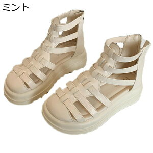 OfBG[^[ T_ fB[X  N[YgD 4cmq[ PUU[ T_u[c T}[u[c V[gu[c  ҂ݏグ h u[cT_ ʊw ʋ f[[