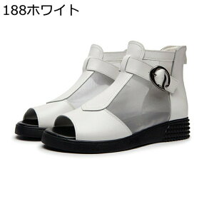 傫TCY T_u[c fB[X tbg [} bV obNWbv I[vgD v tbg V[g T}[u[c tďH ~ obNt ʋ ʊw 