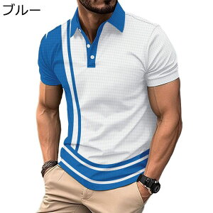 |Vc 3Dvg oCJ[ ݕt Y {^_E tVc K[Vc StEFA 傫TCY rWlX JWA ĕ z yʒʋC  |lbN gbv