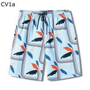 T[tpc bVCi[ vg  Y r[`pc XCV[c XCEFA Cpc 傫TCY r[` v[ ܕY{  p K y ݖh~