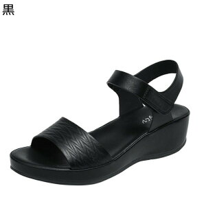 T_ fB[X EFbW\[ ČC t@bVT_ Zp[gT_ 5cmq[  XgCvT_ r EhgD GKg h n  \ ₷