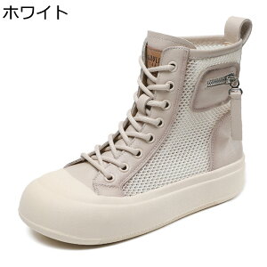 V[gu[c fB[X T_u[c u[cT_ bV [XAbv v U[  [q[ 4cmq[ ~ T}[u[c ʋ ʊw o JWA IV