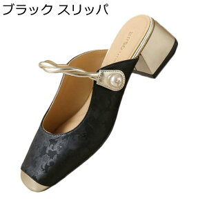 T_ fB[X `L[q[ t@Xi[ N[YhgD XNGAgD 6cmq[ ƂȂ tďH pvX IV ϋv ϊ ϖՐ E₷ ʋ ʊw  It