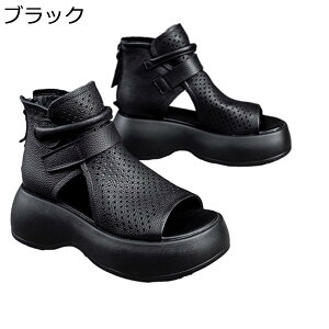 傫TCY fB[X T_u[c  OfBG[^[ T_ I[vgD 6cmq[ PUU[ V[gu[c 傫TCY tďH  obNWbv vbgtH[