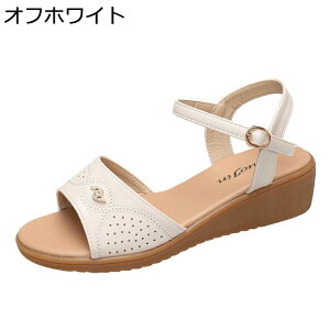 T_ wl VjA 傫TCY fB[X EFbWT_ GXjbNn  JWA y` _炩 ԕXgCv EFbWq[ r[`T_ Ȑ ~