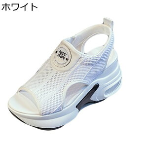 T_ fB[X X|[cT_ bV T_ EFbWq[ Xj[J[ 傫TCY X|T X|[eB[ q[X ėp AEghA ~ ʋC