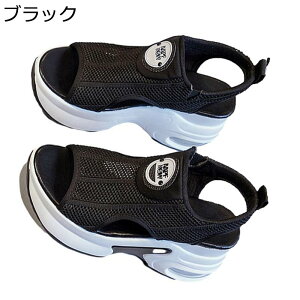 T_ fB[X X|[cT_ bV T_ EFbWq[ Xj[J[ 傫TCY X|T X|[eB[ q[X ėp AEghA ~ ʋC