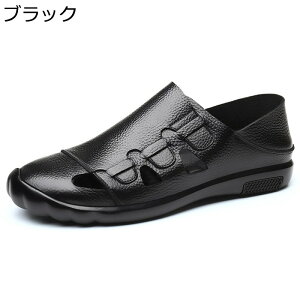 T}[T_ Y U[ hCrOV[Y bV Y Xb|V[Y ܐ悠 rWlXV[Y ItBXT_ ʋC  JWA  jp v[