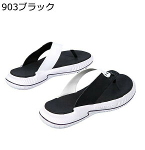 gOT_ Xbp Y  r[`T_ O  y AEghAT_ h ʋC  傫TCY  JWA EH[LO C ][g  p