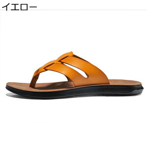 Xbp Y gOT_ RtH[g v  r[`T_ y  AEghA h [V[Y ʋC  IV 傫TCY JWAXbp 