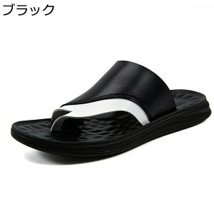 Y gOT_ Xbp RtH[g vT_ y r[`T_ JWA ~ AEghA [V[Y ϋv ʋC   傫TCY  