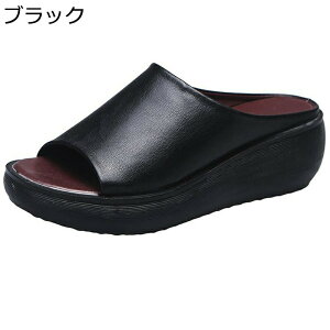 T_ fB[X EFbW\[T_ ~[ I[vgD 傫TCY  ₷ ėp ʋC JWA ~ Xbp EH[LO ʋΒʊw