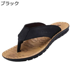 Y gOT_ Xbp  O  ʋC RtH[g r[`T_ JWA y ~  AEghA T}[V[Y j  O TCY