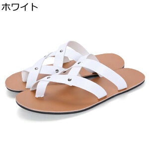 gOT_ JWA r[T tbg  Xbp r[`T_ Y ~ AEghAT_ ʋC Ȃ ₷ IV jp 傫TCY 