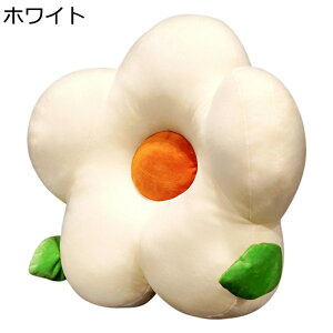 ԂƂ w w Ԍ` zc NbV  CXp \t@[EEԗp  ̈U  e ӂӂ CeA ې ʋΒʊw p Mtg