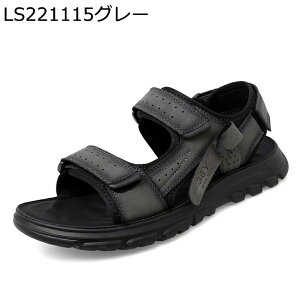 X|[cT_ Y U[ ؂ւ pb`[N }WbNe[v {v T_ AEghAT_ X|T T}[ ˊO ܂肽 ig E ^ O Xj[J[T_