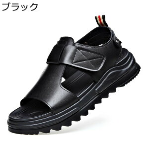 Y T_ RtH[g X|[cT_ y T_ NbV Ȃ hCo[YV[Y ɂȂ 풅p 傫TCY JWA IV AEghA ėp X