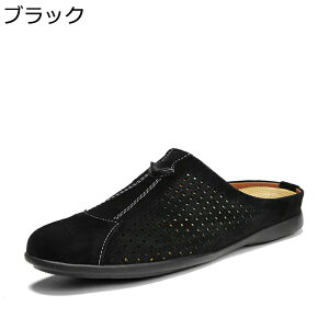 rWlX T_ Y {v bVH rWlXV[Y ƂȂvC [t@[T_ rWlXXbp ʋC y T{ JWA T_ d ʋ f Ȃ h