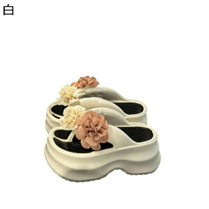 gOT_ ԕ  t[ T_ r[`T_ r[T fB[X ~[ ~[T_ Xbp T{ O T_ {w~A tF~j C ][g 