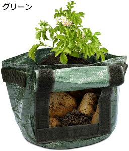 ͔| ؍͔|obO PEf nht n Ⴊ ܂ lQ ܂˂ g}g ͔| obO K[f͔| |K[f v^[ | x_ O[ A琬  